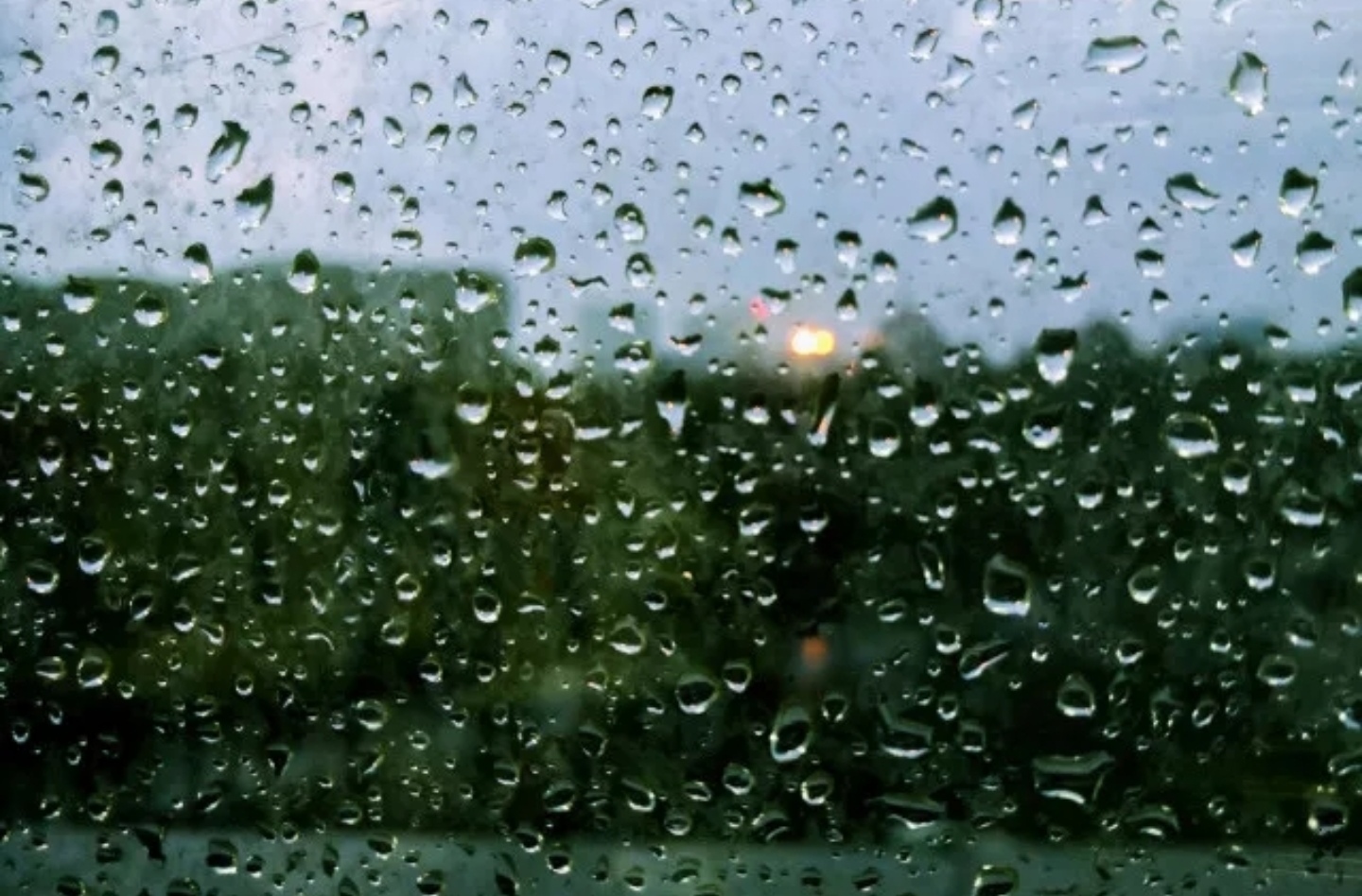 初春后的一场雨后,湿润的空气里仿佛也染上了如烟雾般的一丝绿